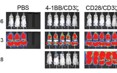 First in-depth profile of CAR T-cell signals suggests how to improve immunotherapy