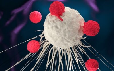 US FDA approves first non-gene edited allogeneic CAR T-cell candidate for trials