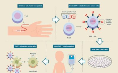 Registry could be ‘invaluable’ for tracking long-term CAR T-cell therapy outcomes