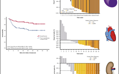 Organ responses with daratumumab therapy in previously treated AL amyloidosis