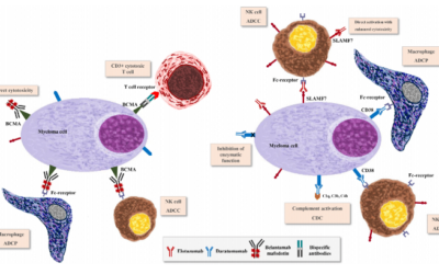 Novel Experimental Drugs for Treatment of Multiple Myeloma